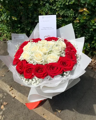 Giant Mysterious White - Gambar 2